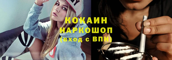 бошки Бородино