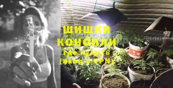 spice Верея